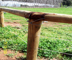 SHEARING AND FENCING EQUIPMENT, INSULATED WIRE STRAINER