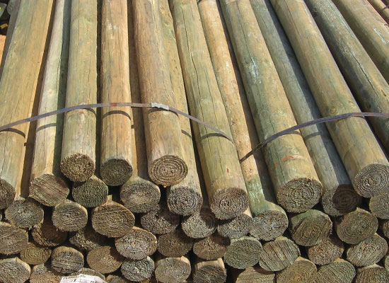 Treated Pine Pole 125-145mm Diameter x 2.4m (RL5 24)